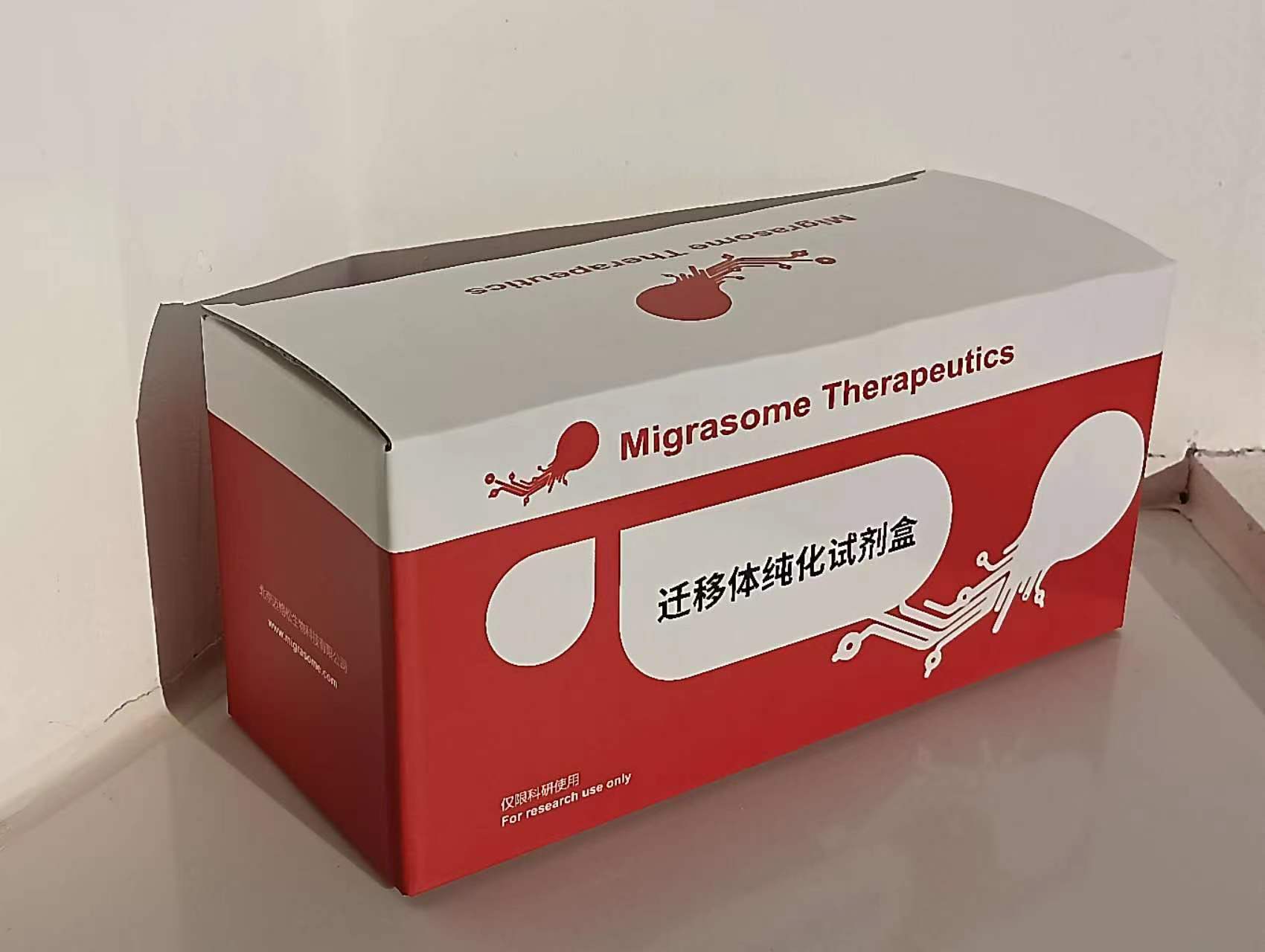 ABUIABACGAAg55SFswYo-pPzeDDwHziAGA