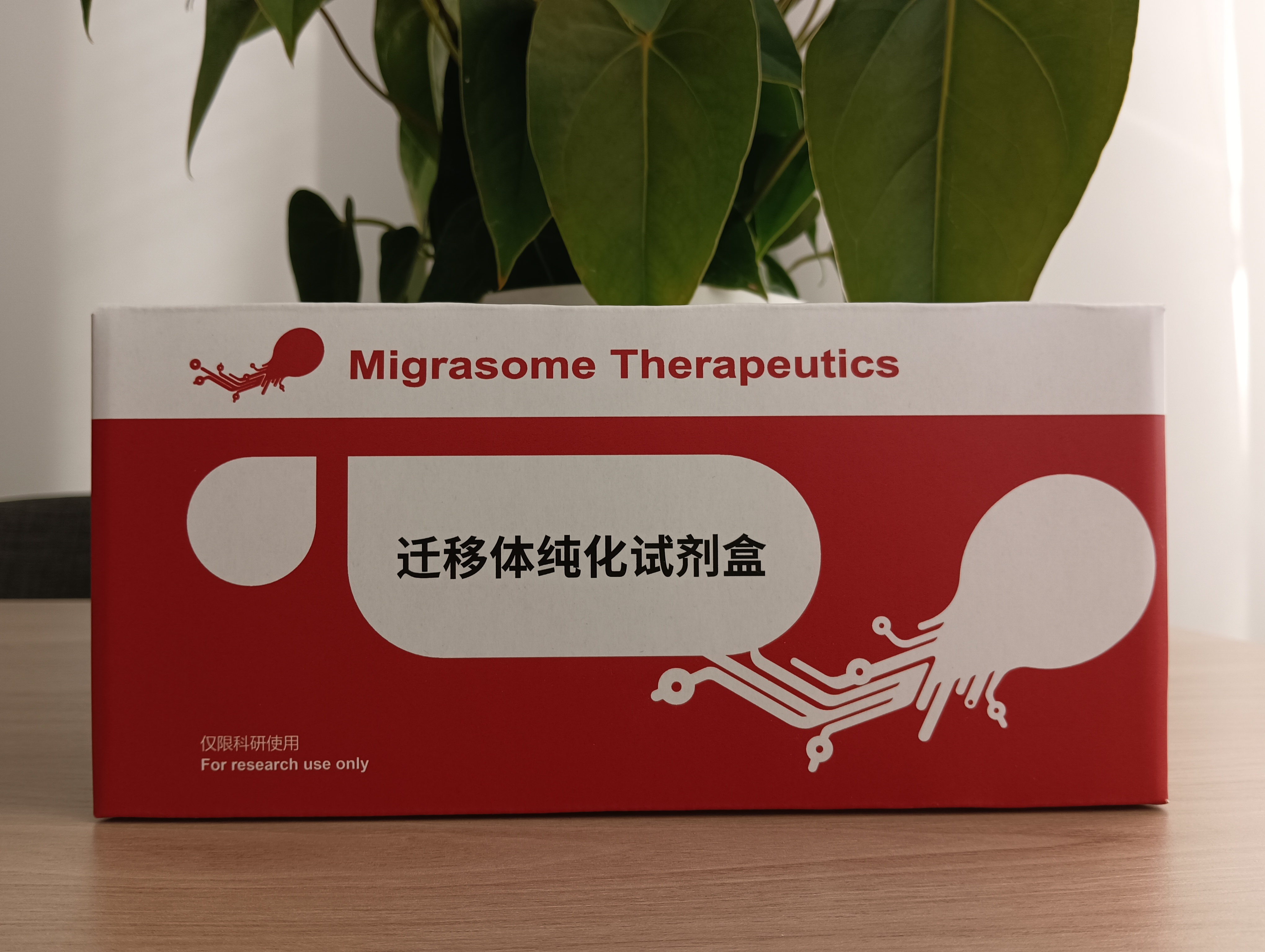 ABUIABACGAAg55SFswYo-pPzeDDwHziAGA