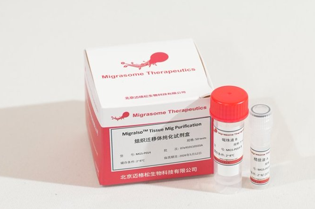 ABUIABACGAAg55SFswYo-pPzeDDwHziAGA