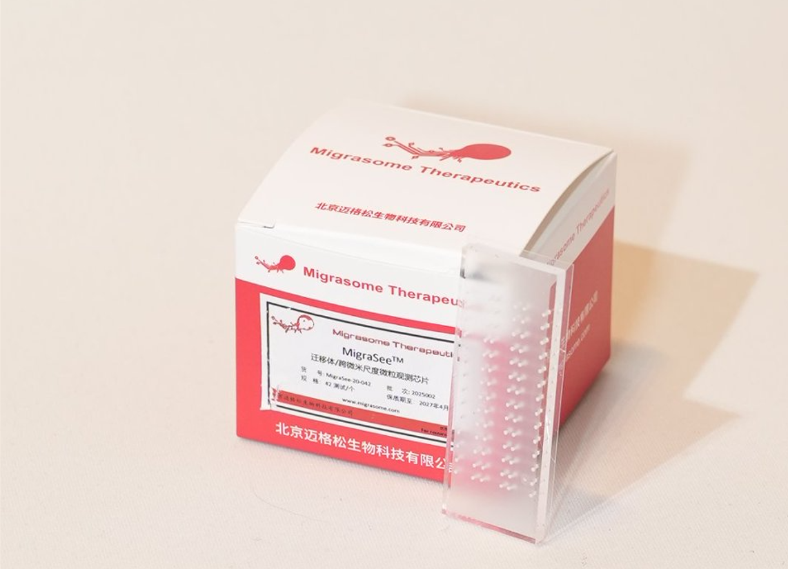 ABUIABACGAAg55SFswYo-pPzeDDwHziAGA